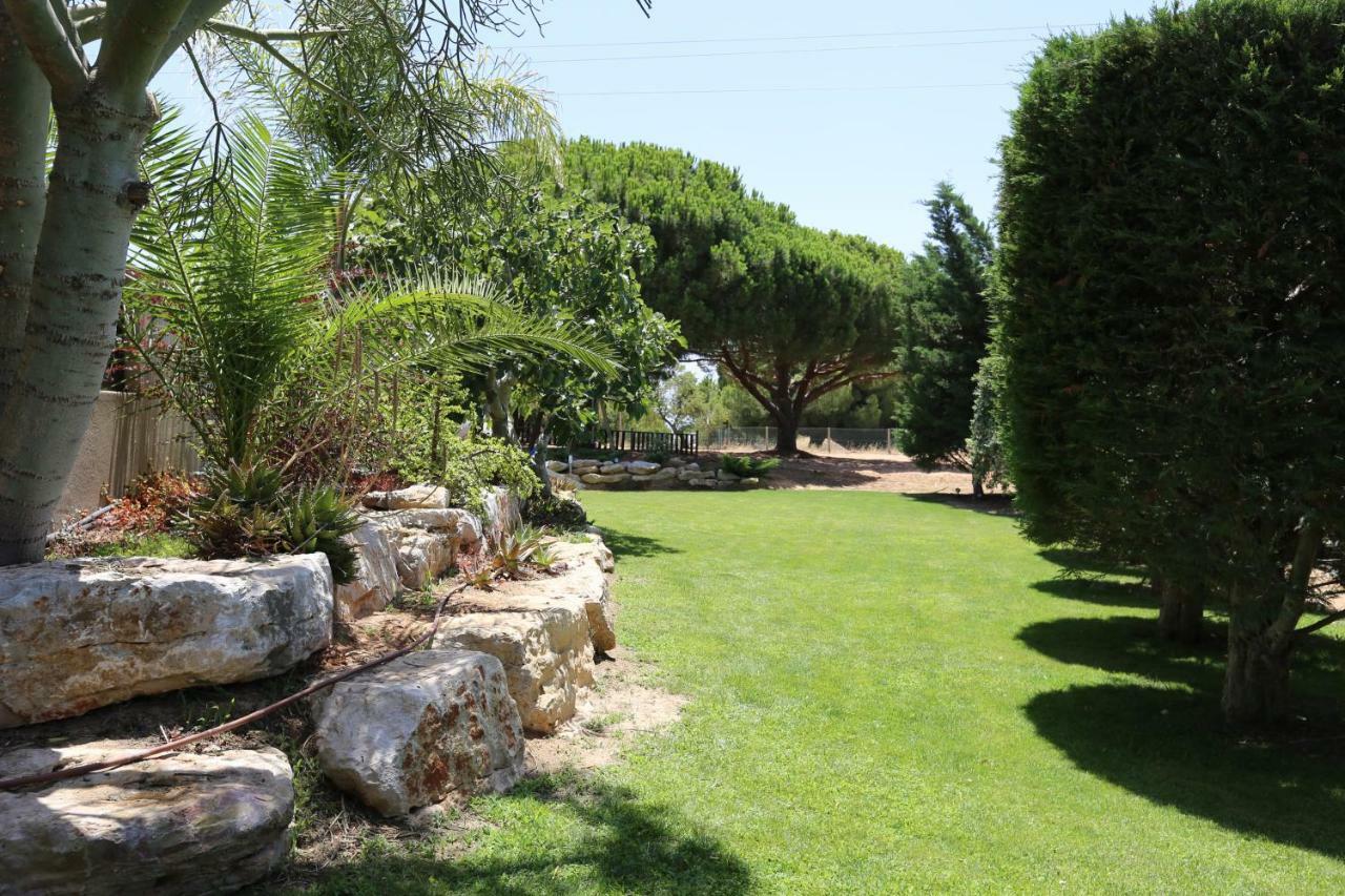 Quinta Do Pinheiro Manso - Holidays Villa - Marinha Beach カルヴォエイロ エクステリア 写真