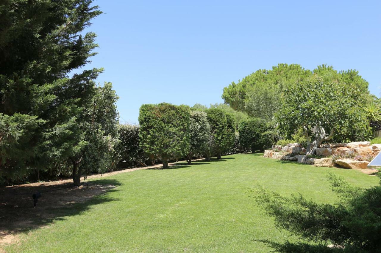 Quinta Do Pinheiro Manso - Holidays Villa - Marinha Beach カルヴォエイロ エクステリア 写真