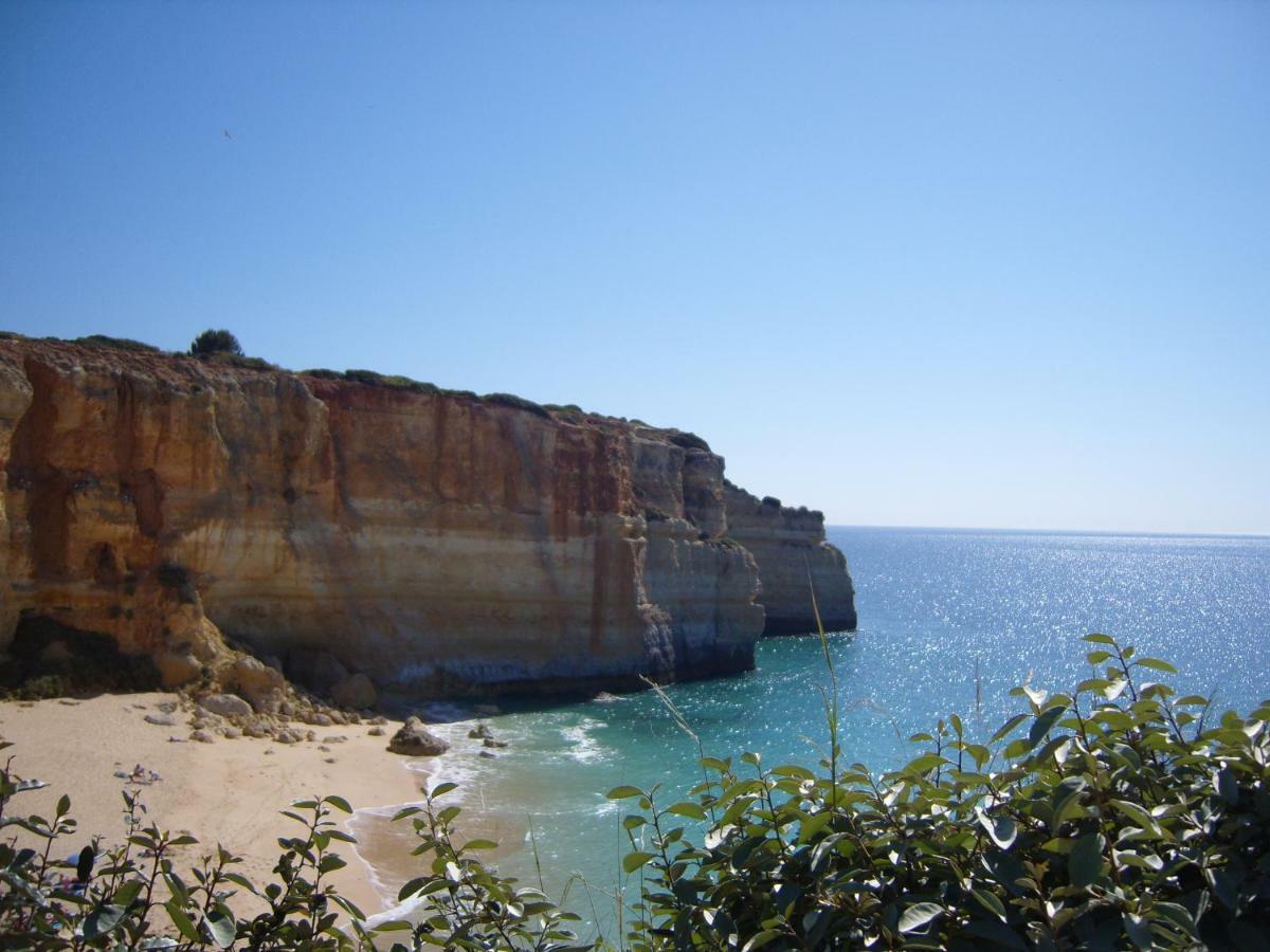 Quinta Do Pinheiro Manso - Holidays Villa - Marinha Beach カルヴォエイロ エクステリア 写真