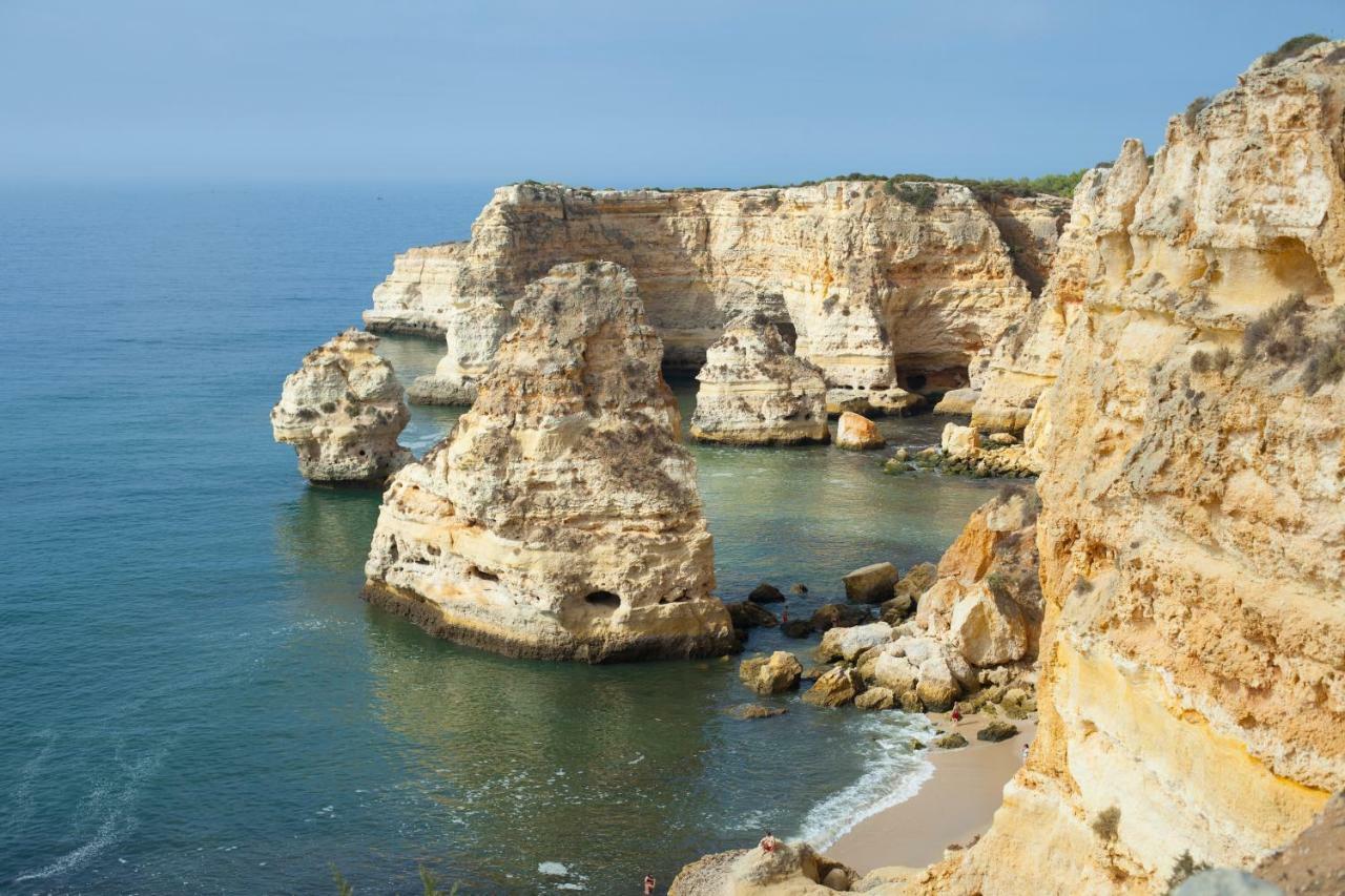 Quinta Do Pinheiro Manso - Holidays Villa - Marinha Beach カルヴォエイロ エクステリア 写真