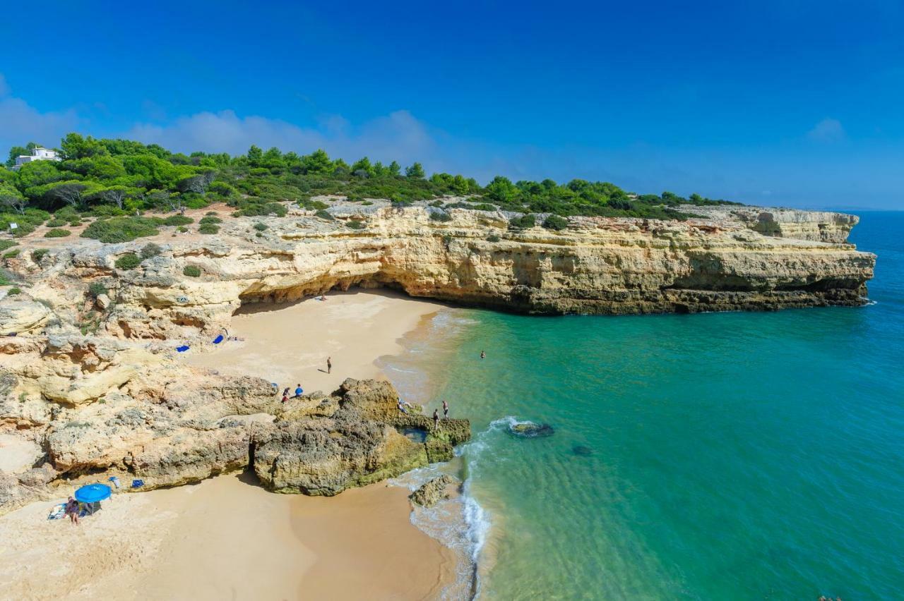 Quinta Do Pinheiro Manso - Holidays Villa - Marinha Beach カルヴォエイロ エクステリア 写真