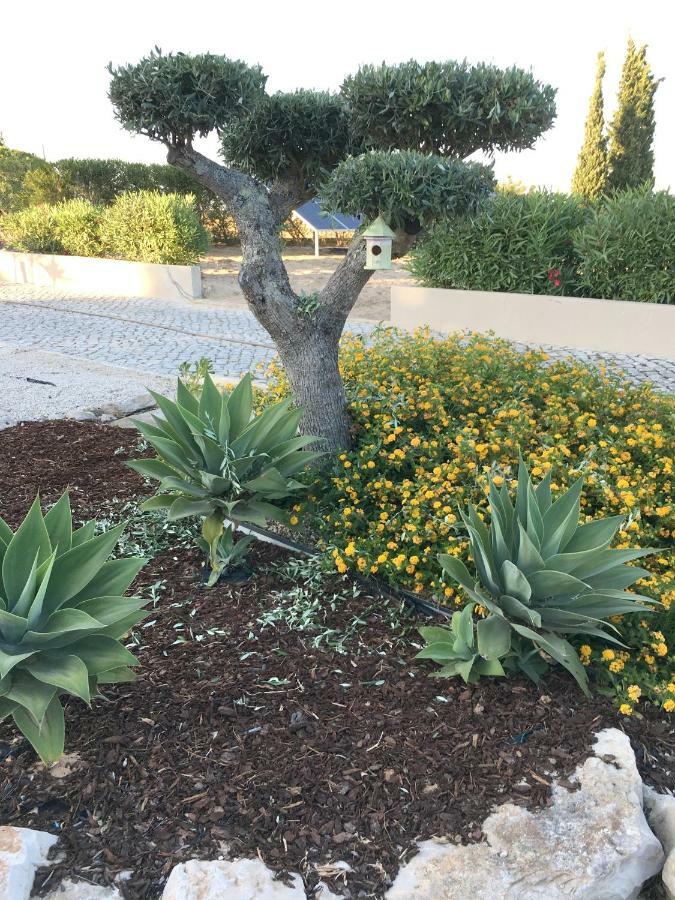 Quinta Do Pinheiro Manso - Holidays Villa - Marinha Beach カルヴォエイロ エクステリア 写真